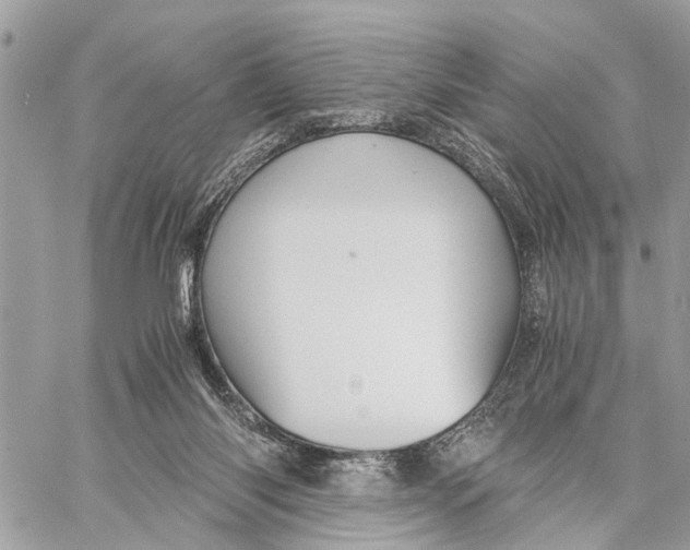 X0000058760118200510211707