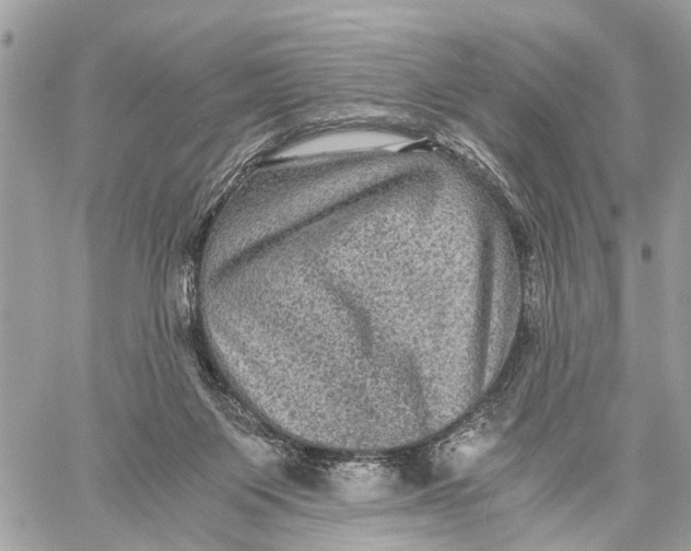 X0000058760119200510211707