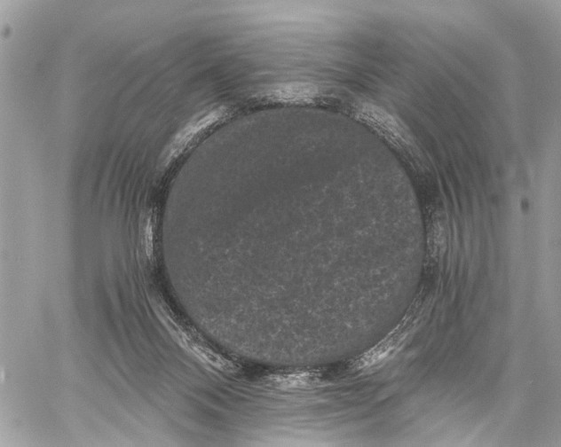 X0000058760120200510211707