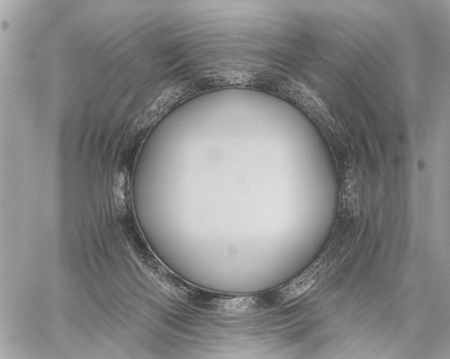 X0000058760122200510211707