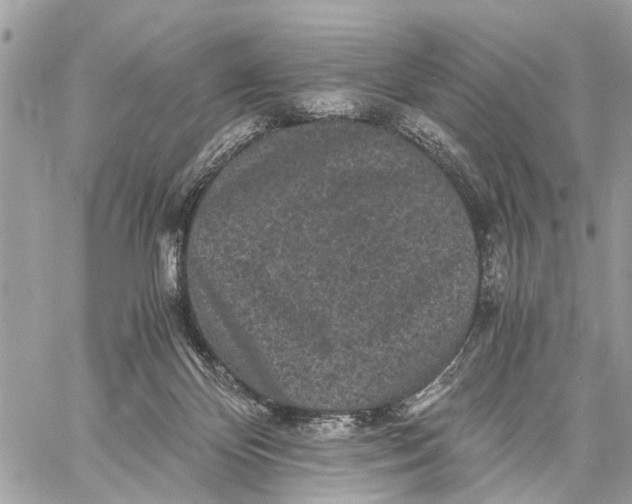 X0000058760124200510211707