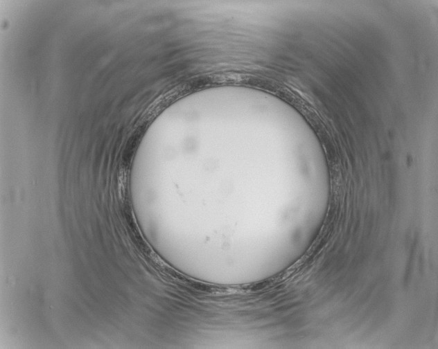 X0000058760125200510211707