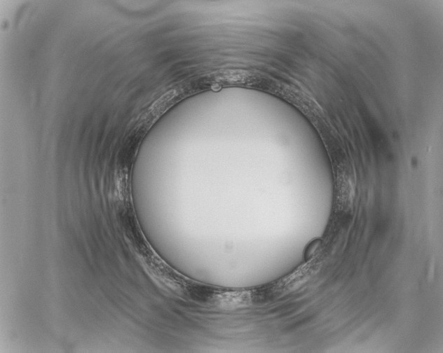 X0000058760126200510211707