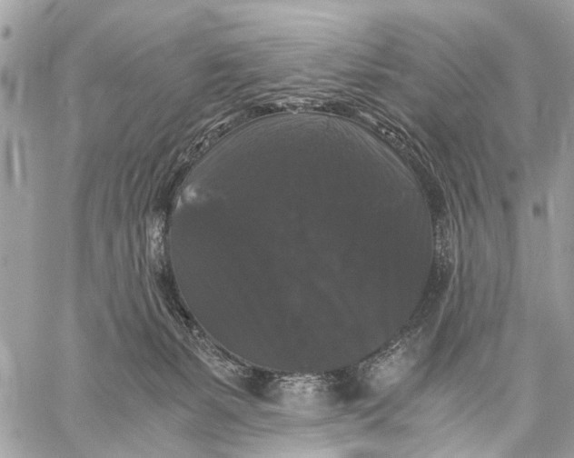 X0000058760127200510211707