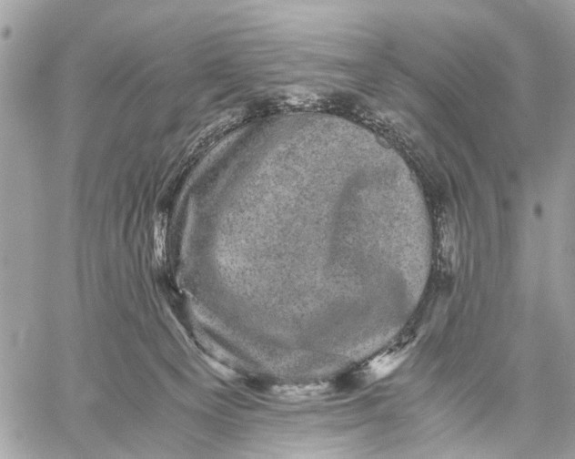 X0000058760129200510211707