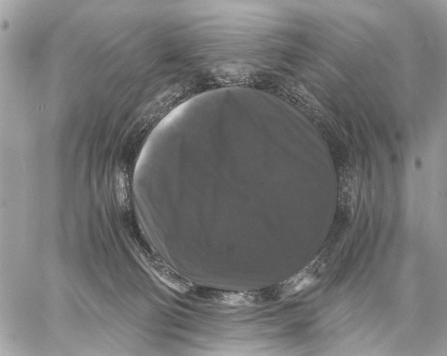 X0000058760130200510211707