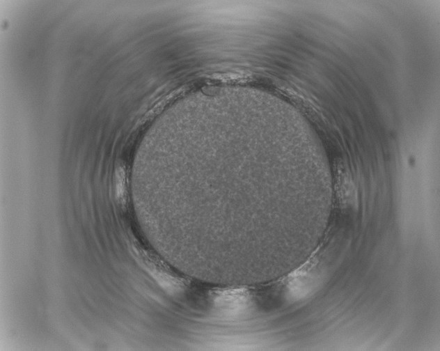 X0000058760132200510211707