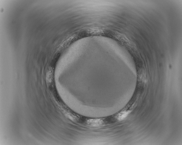 X0000058760133200510211707