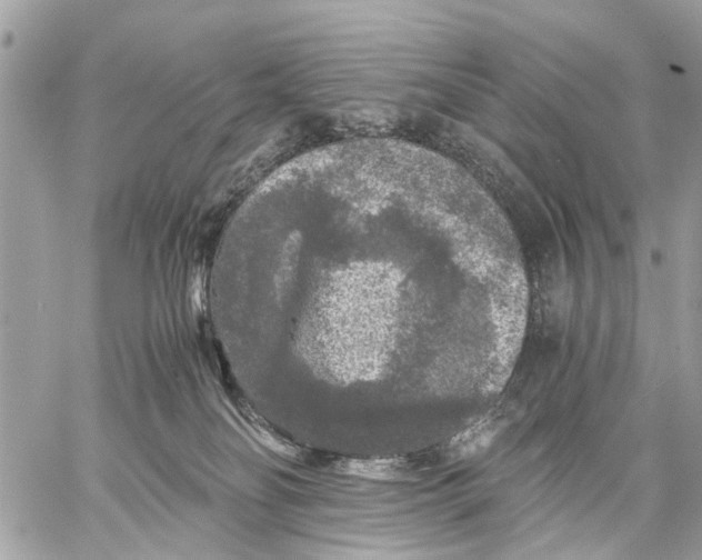 X0000058760134200510211707