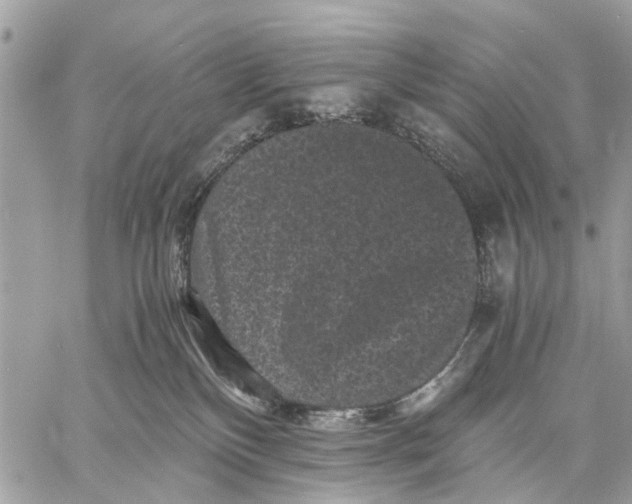 X0000058760136200510211707