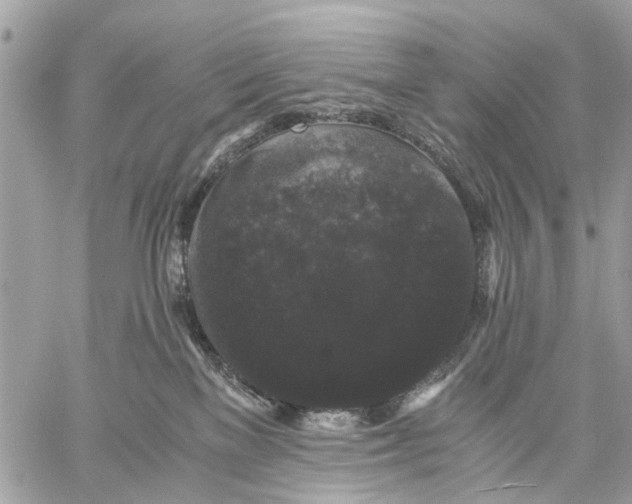 X0000058760137200510211707