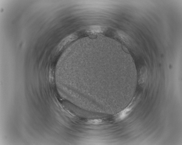 X0000058760140200510211707