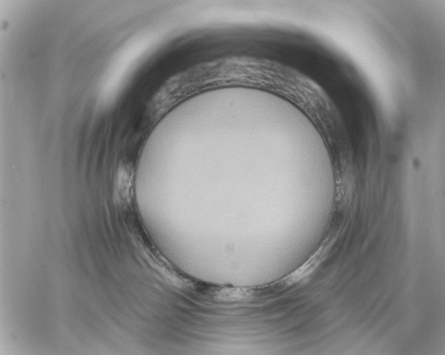 X0000058760142200510211707