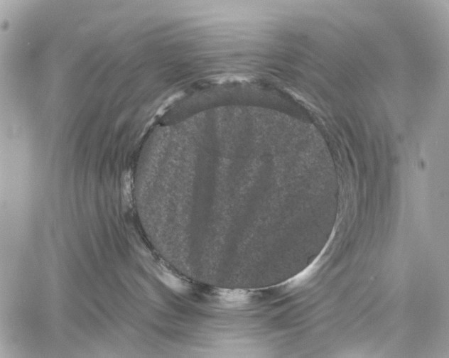 X0000058760144200510211707