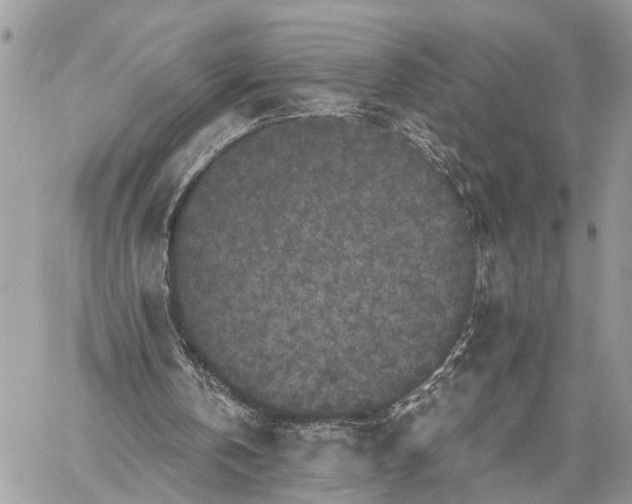 X0000058760146200510211706