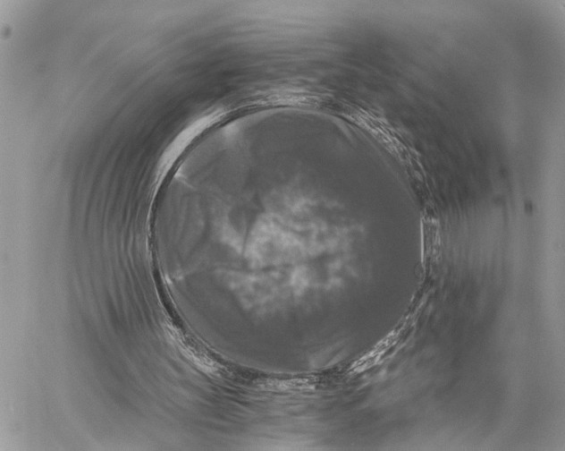 X0000058760147200510211706