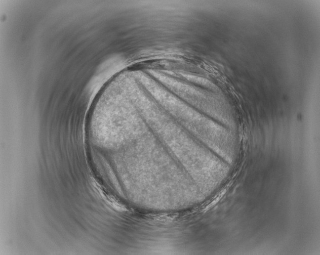 X0000058760148200510211706