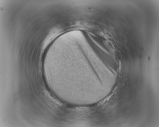 X0000058760150200510211706