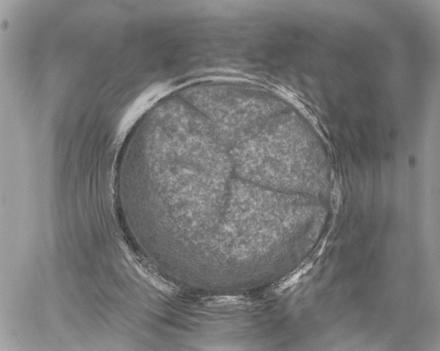 X0000058760151200510211706