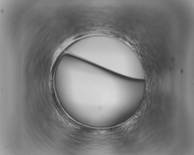 X0000058760152200510211706