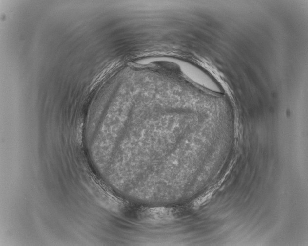 X0000058760153200510211706