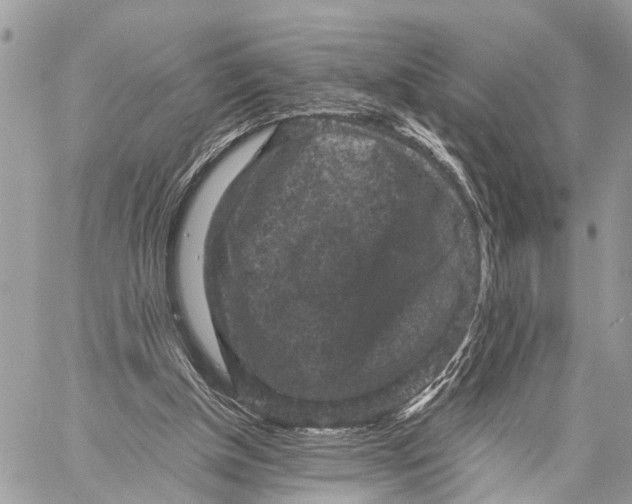 X0000058760154200510211706