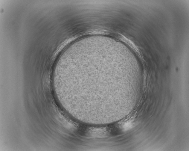 X0000058760155200510211706