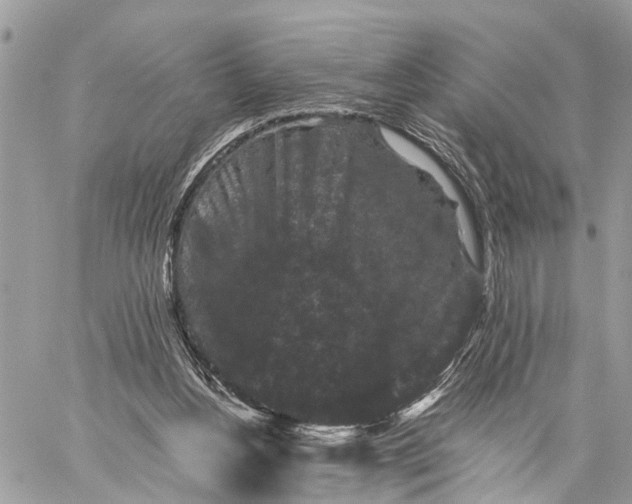 X0000058760156200510211706