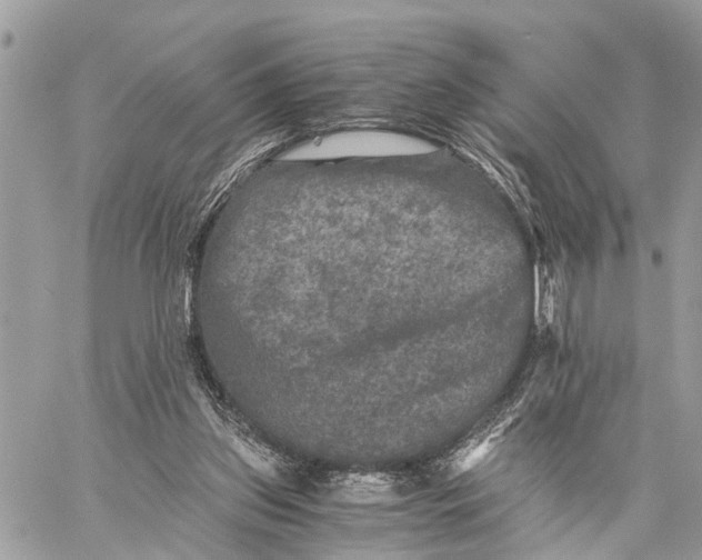 X0000058760157200510211706