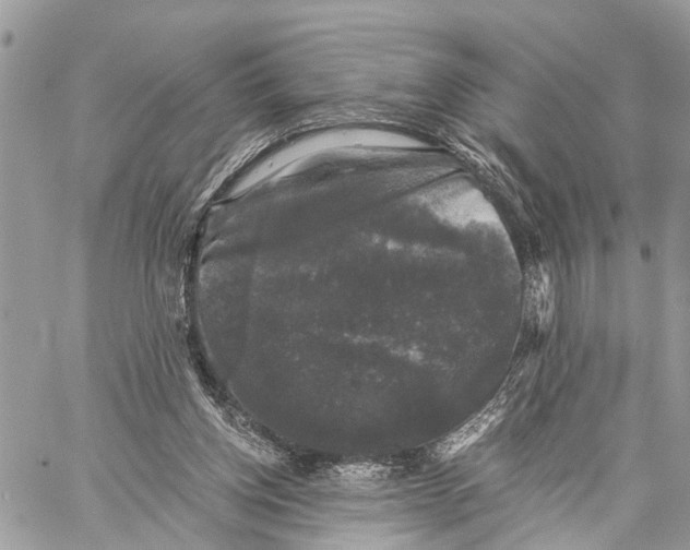 X0000058760158200510211706