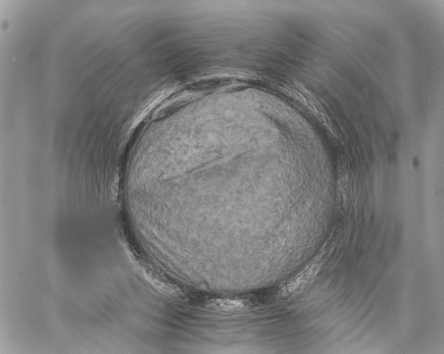 X0000058760159200510211706