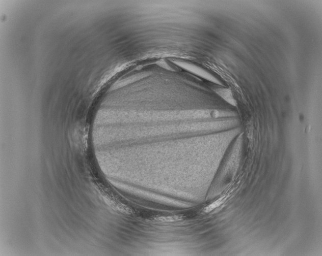 X0000058760160200510211706