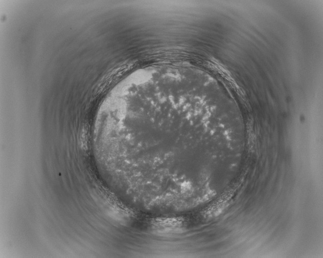 X0000058760161200510211706