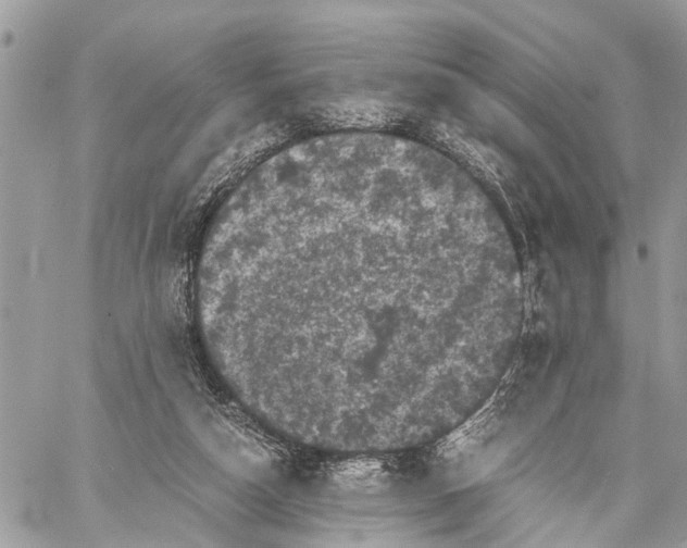 X0000058760162200510211706