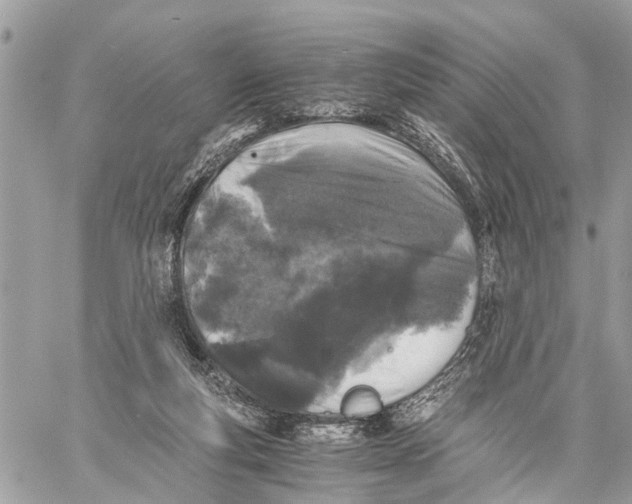 X0000058760163200510211706