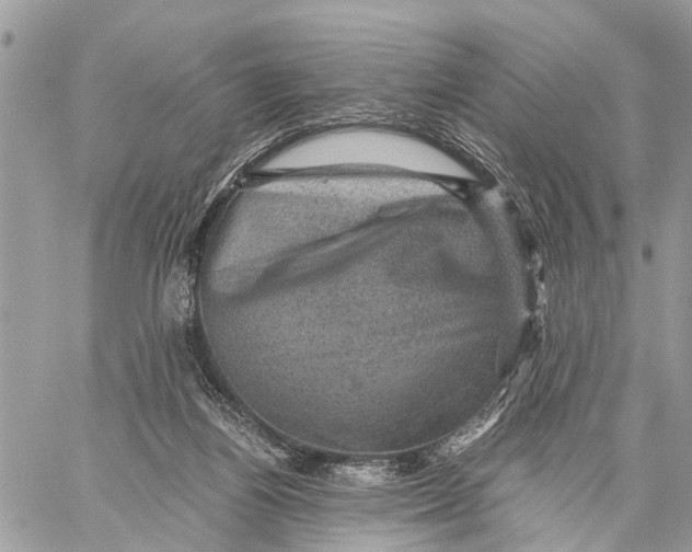 X0000058760164200510211706