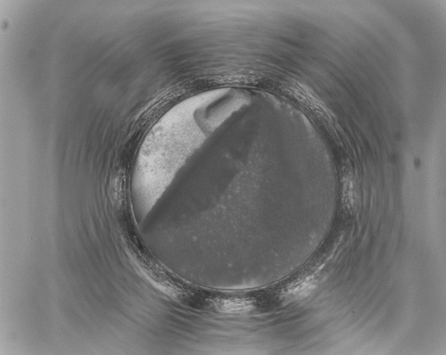 X0000058760165200510211706