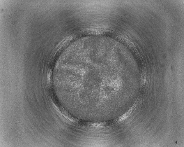 X0000058760166200510211706