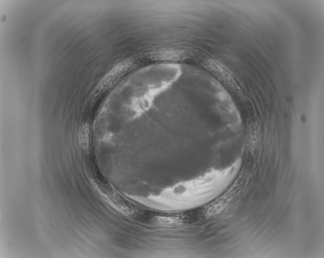 X0000058760167200510211706