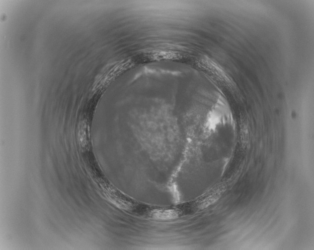 X0000058760169200510211706