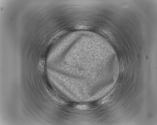 X0000058760171200510211706