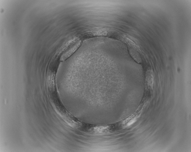 X0000058760172200510211706