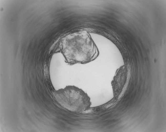 X0000058760173200510211707