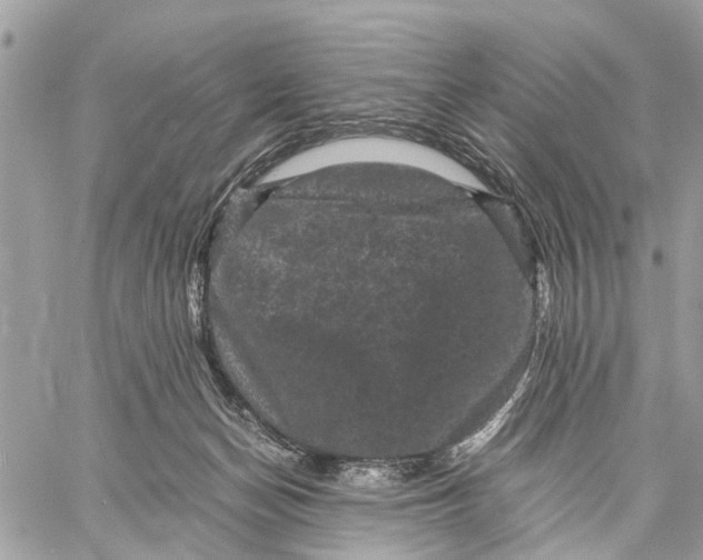 X0000058760174200510211707