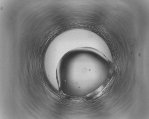 X0000058760175200510211707