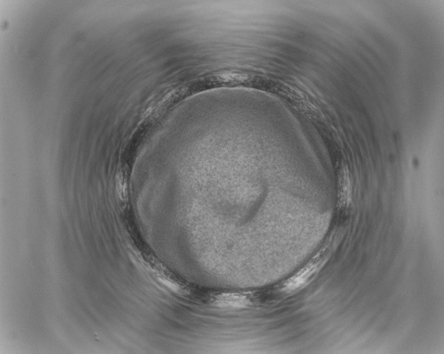 X0000058760176200510211707