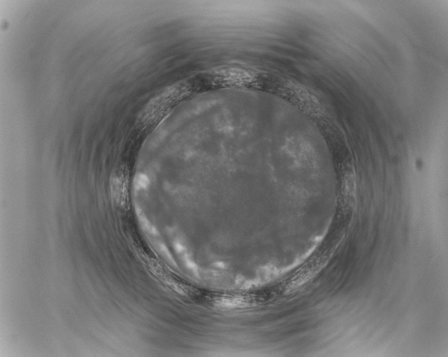 X0000058760177200510211707