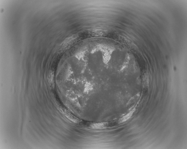 X0000058760178200510211707