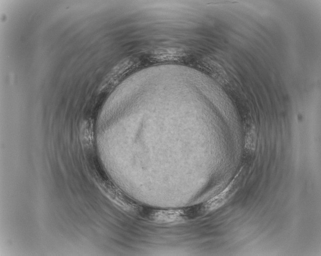 X0000058760179200510211707