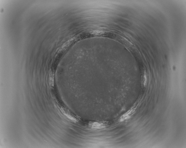 X0000058760180200510211707